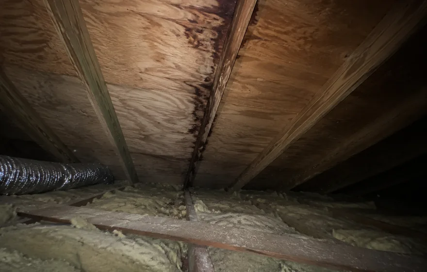Roof leak repair in Pompano Beach FL, water stained ceiling and attic inspection
